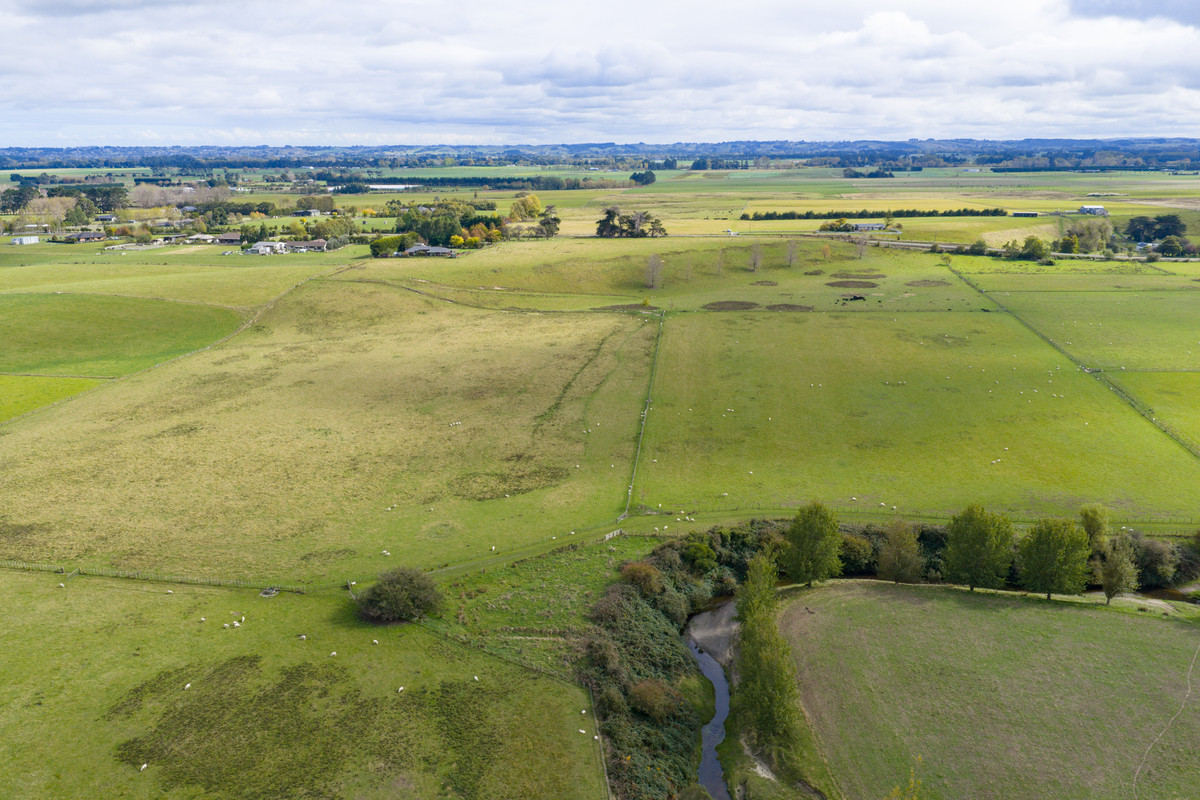 Your 36 Hectare Blank Canvas