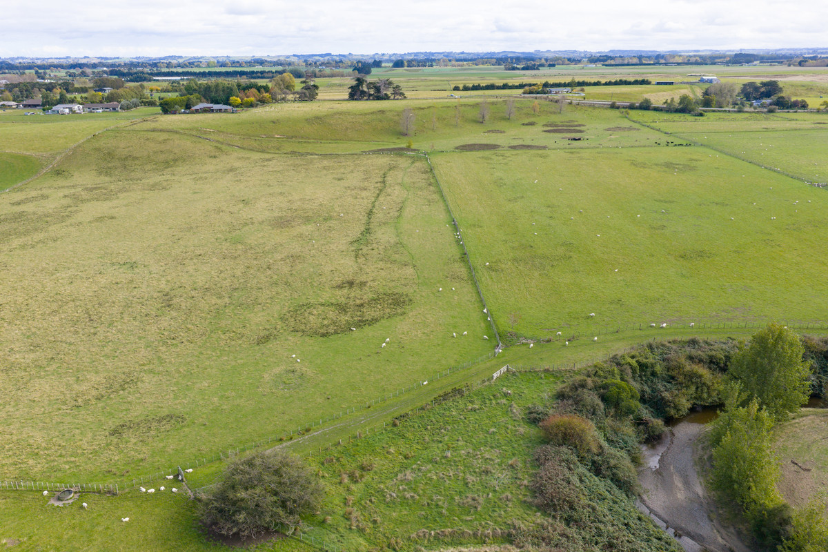 Your 36 Hectare Blank Canvas