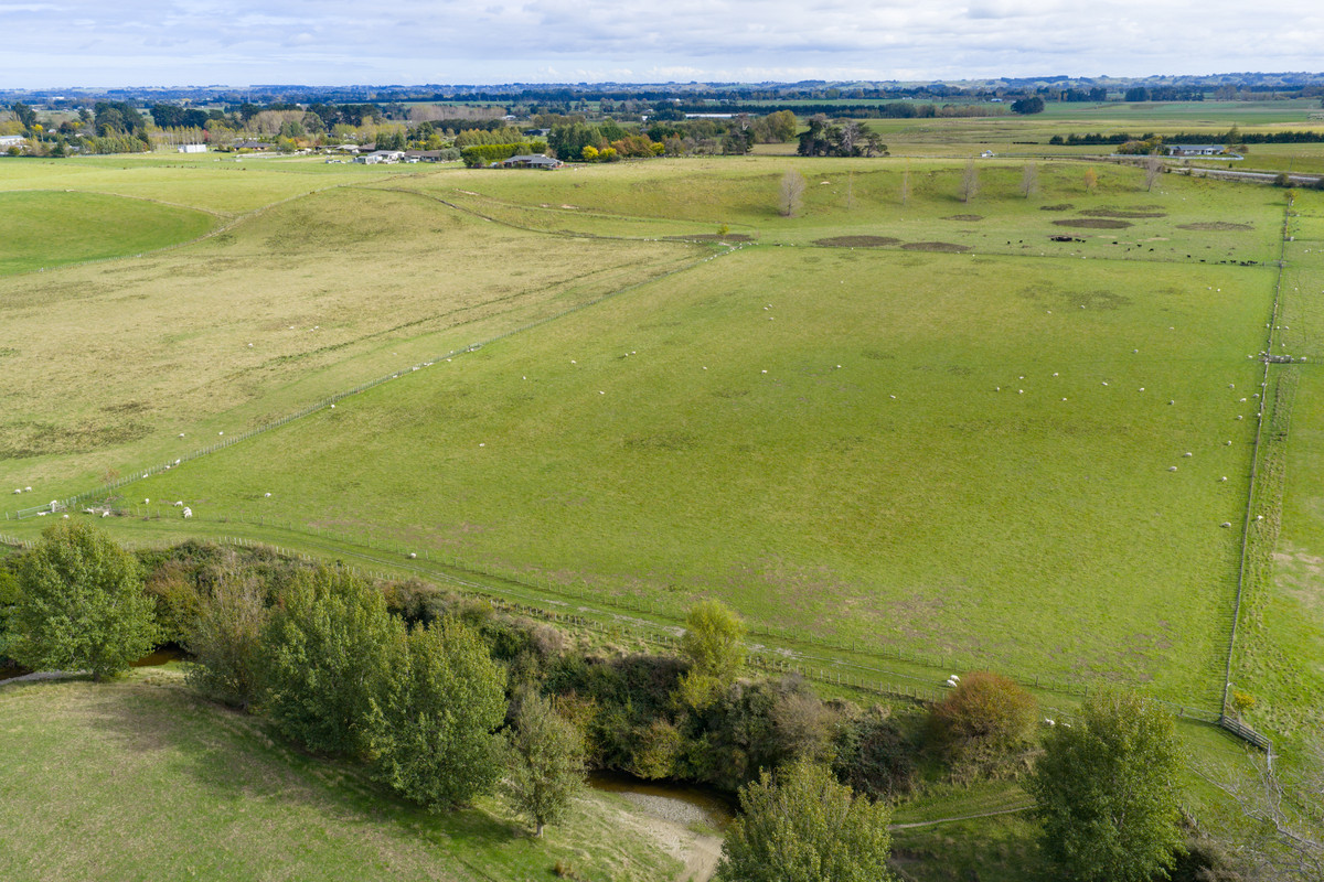 Your 36 Hectare Blank Canvas