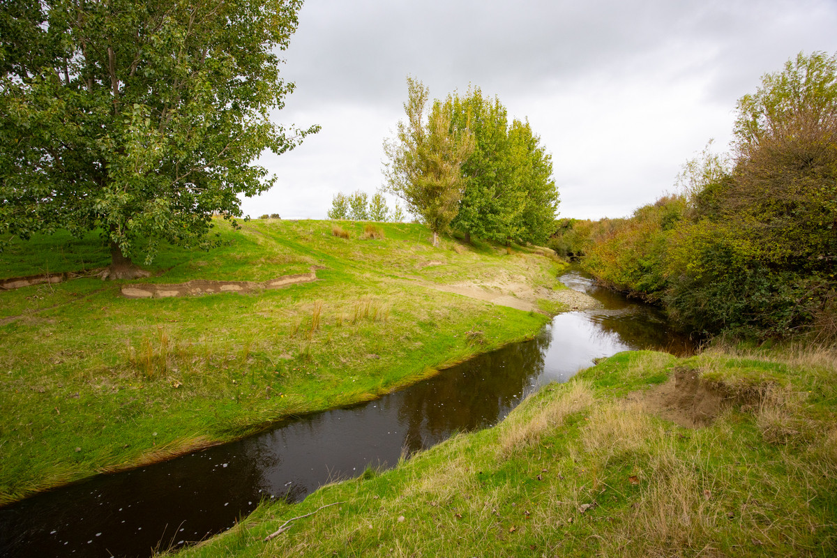 Your 36 Hectare Blank Canvas