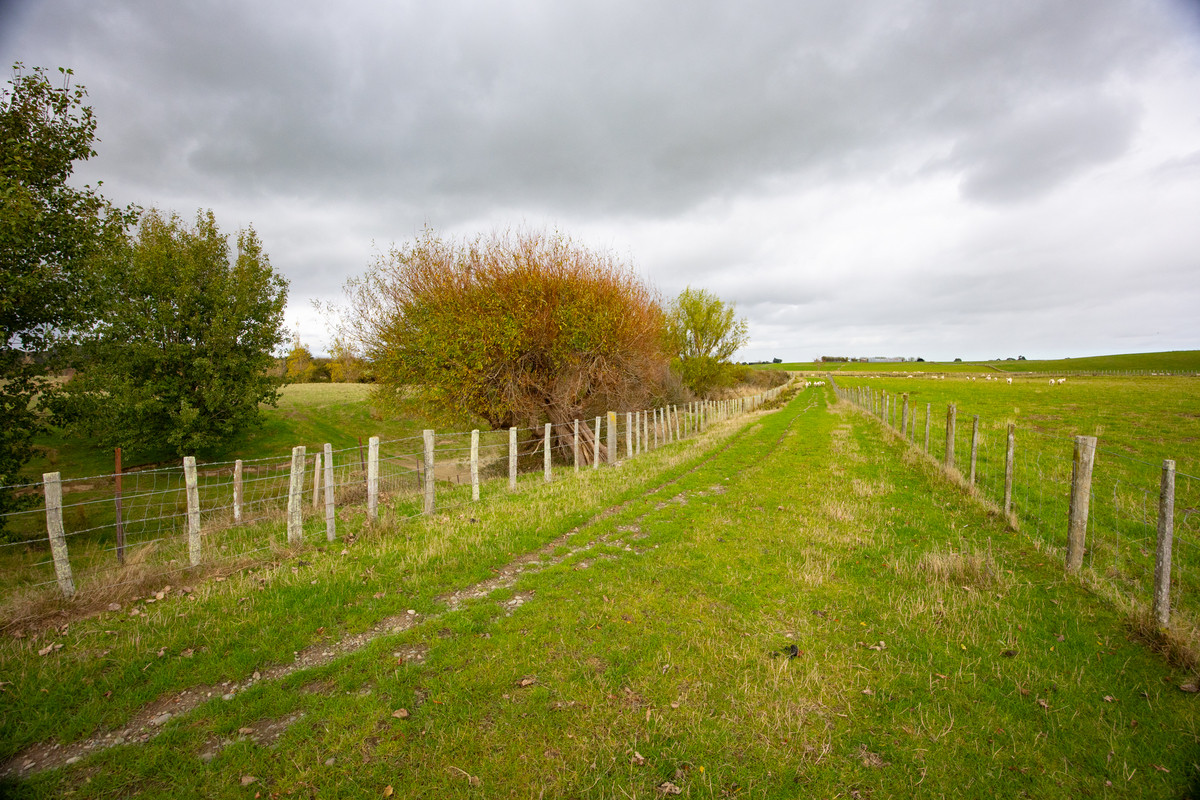 Your 36 Hectare Blank Canvas