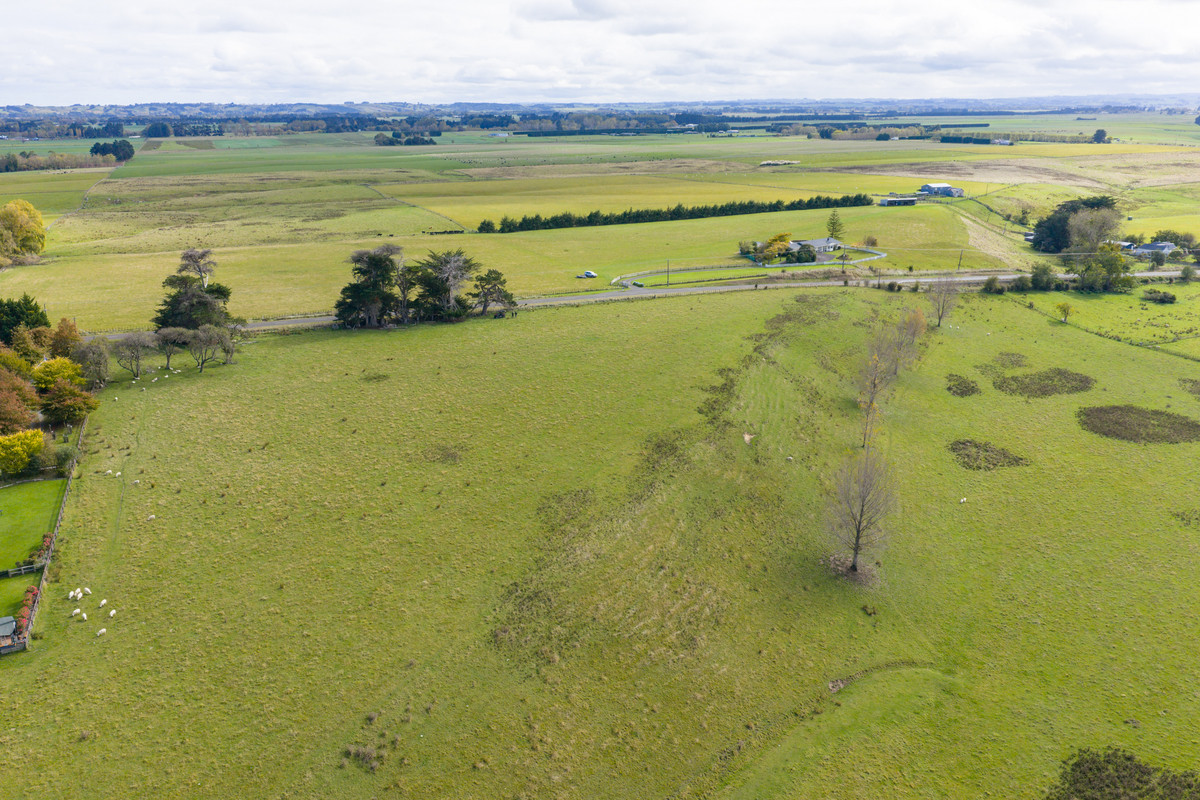 Your 36 Hectare Blank Canvas