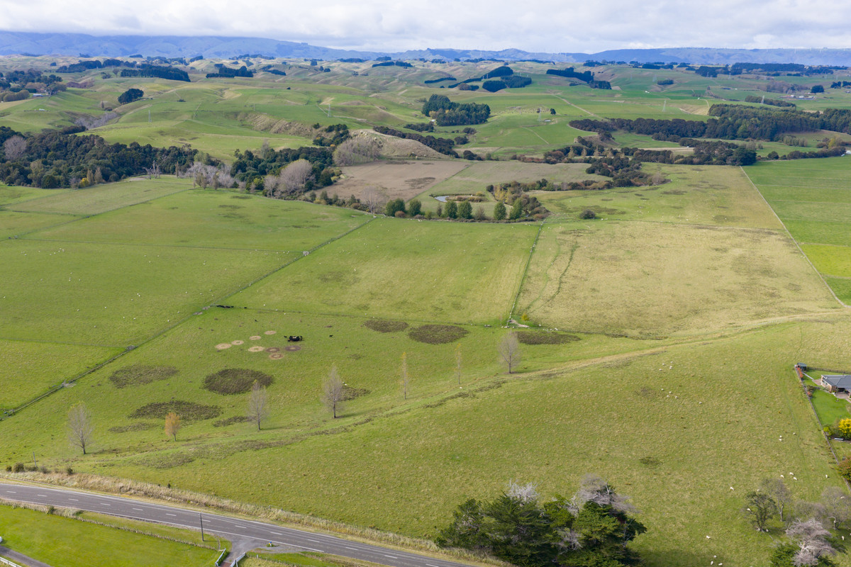 Your 36 Hectare Blank Canvas
