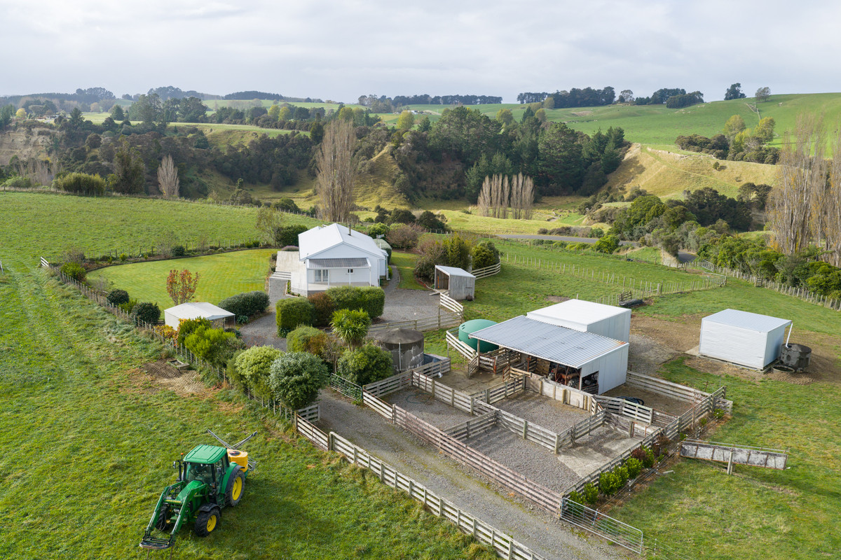 A Farm Full Of Character