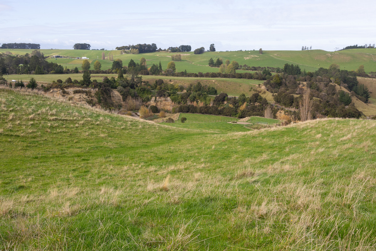 A Farm Full Of Character