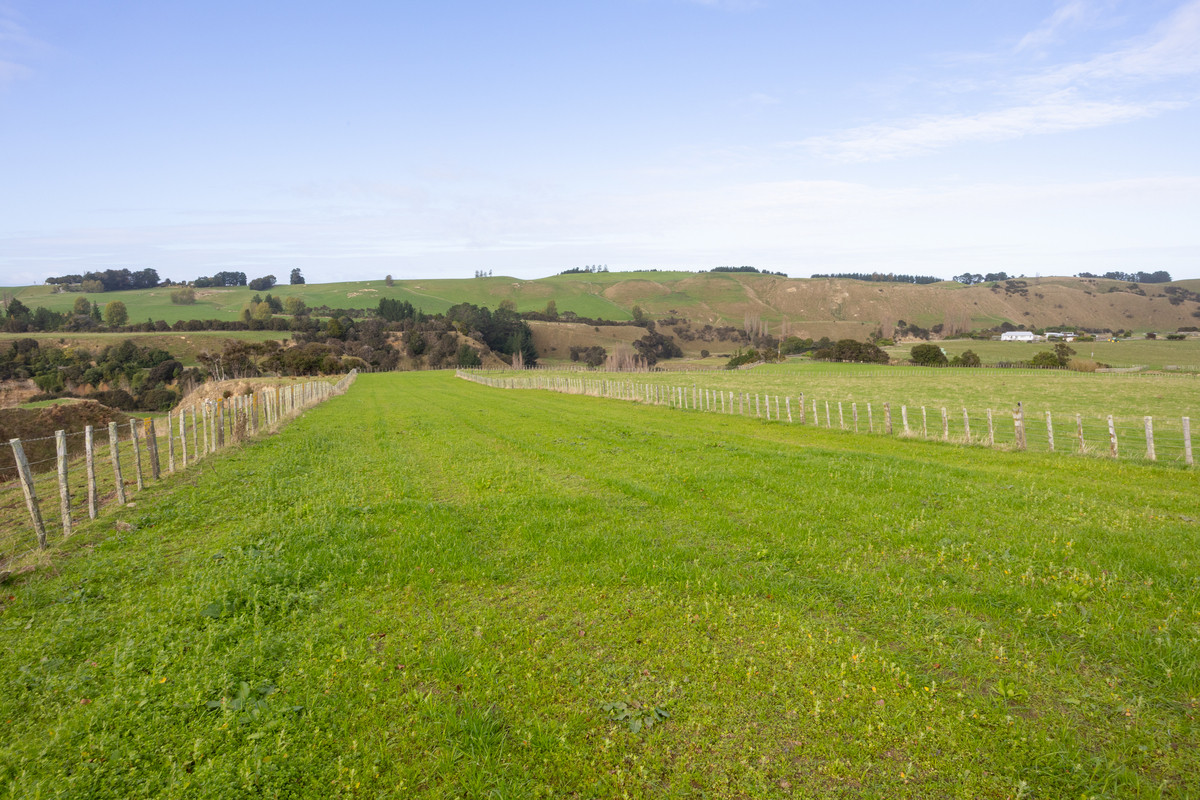 A Farm Full Of Character