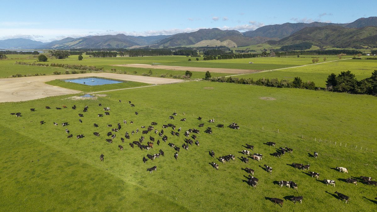 South Wairarapa Dairy Farm with Potential