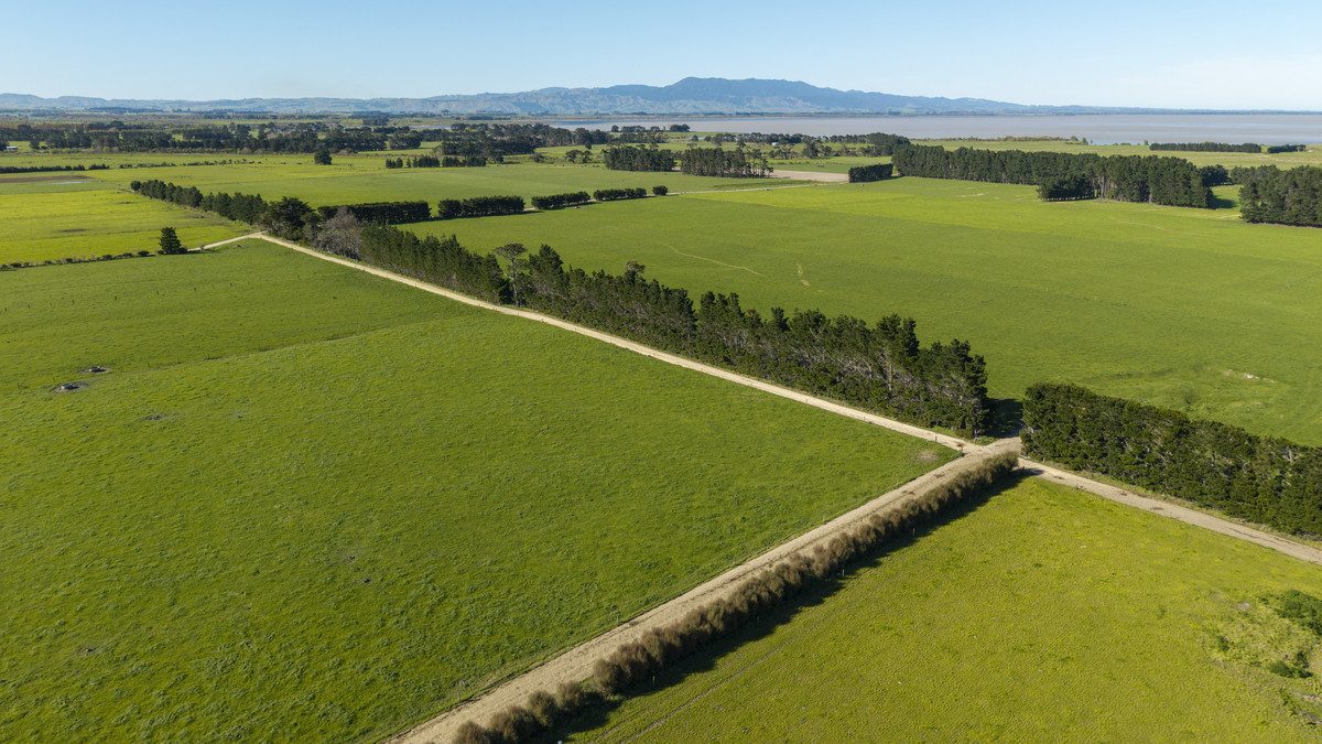 South Wairarapa Dairy Farm with Potential