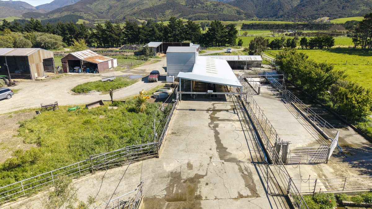 South Wairarapa Dairy Farm with Potential