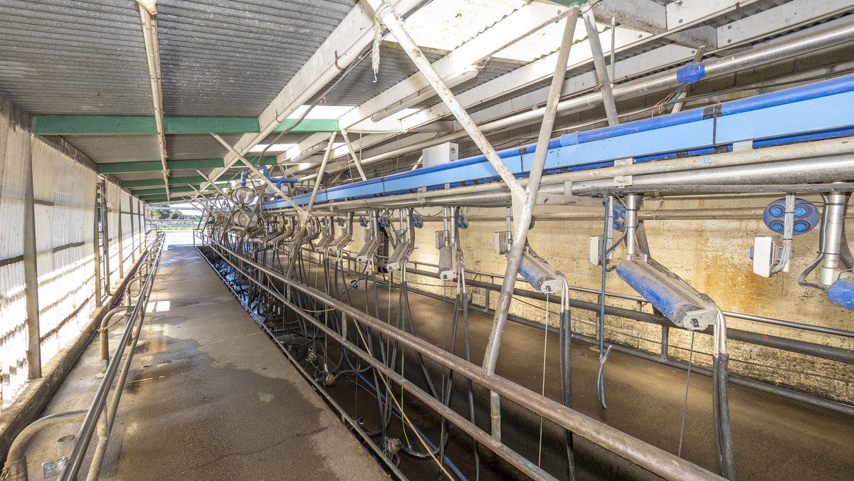 South Wairarapa Dairy Farm with Potential
