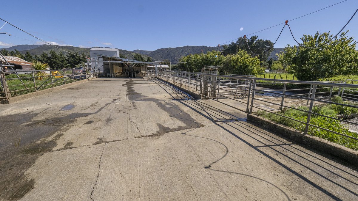 South Wairarapa Dairy Farm with Potential