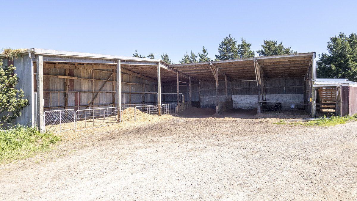 South Wairarapa Dairy Farm with Potential