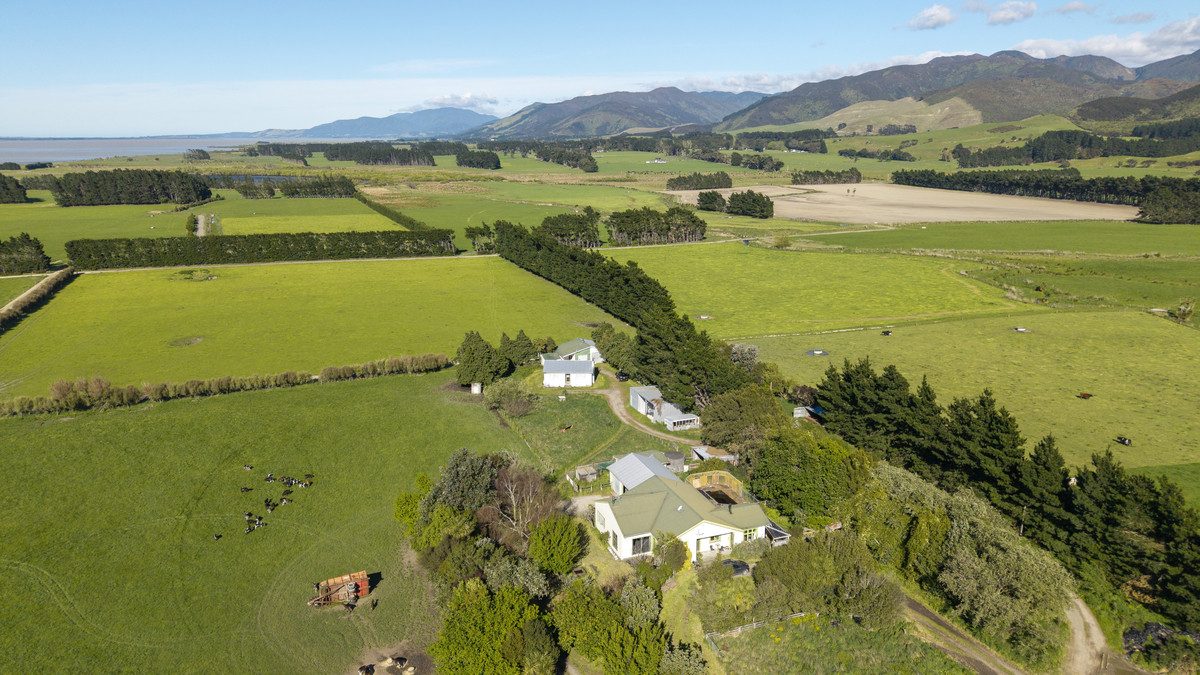 South Wairarapa Dairy Farm with Potential