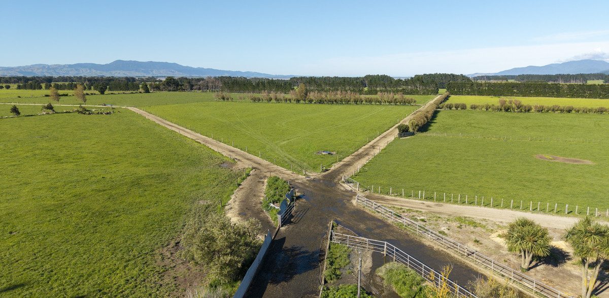 South Wairarapa Dairy Farm with Potential