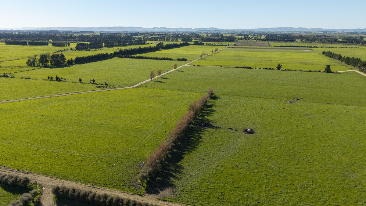 South Wairarapa Dairy Farm with Potential