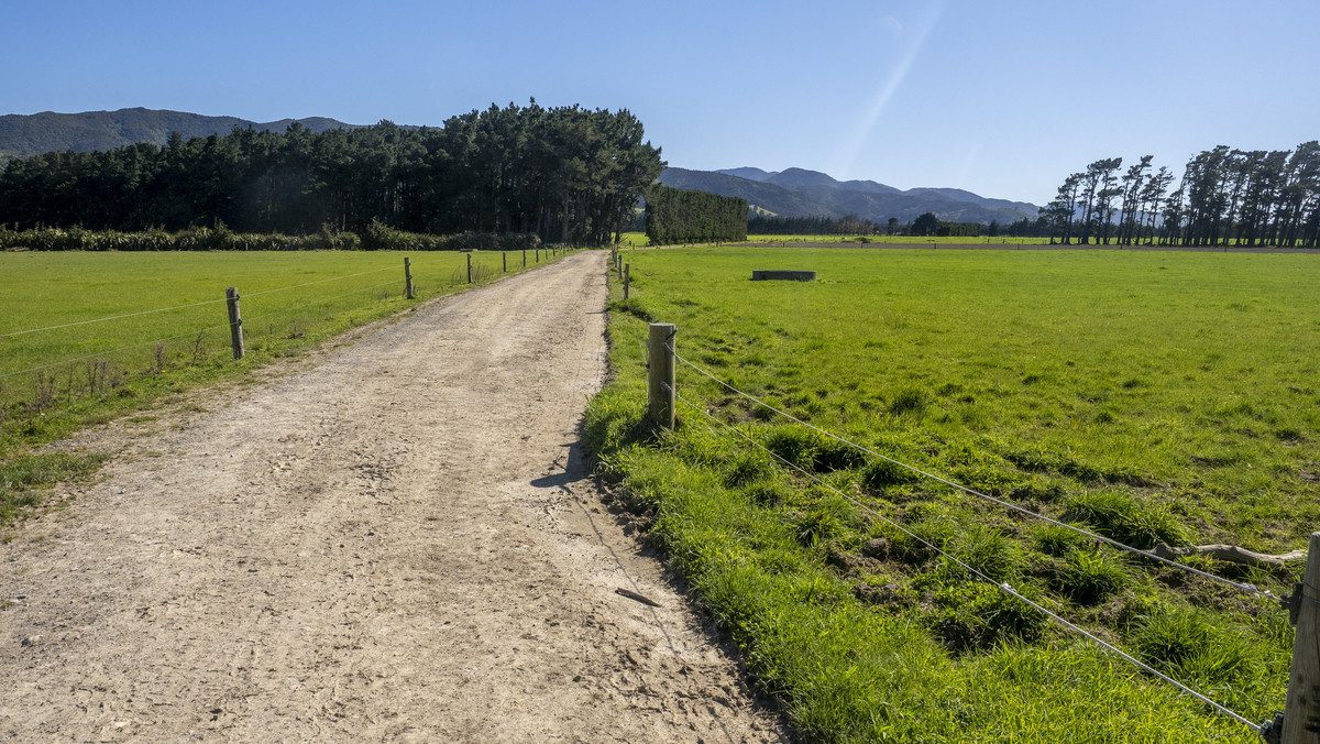 South Wairarapa Dairy Farm with Potential