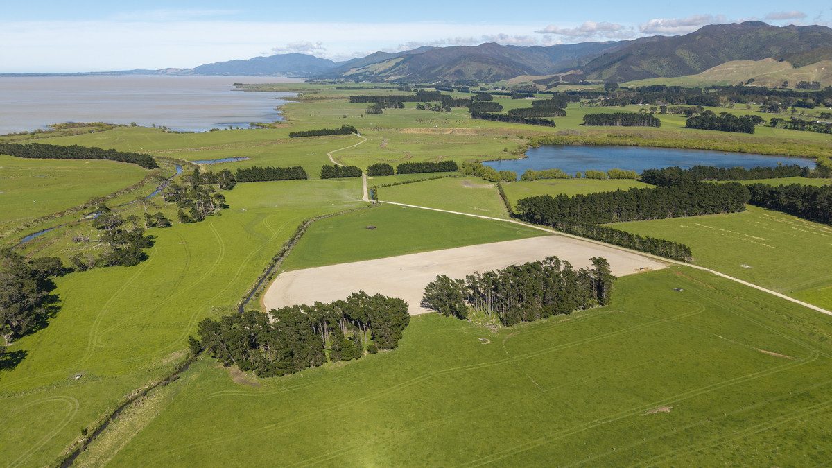 South Wairarapa Dairy Farm with Potential
