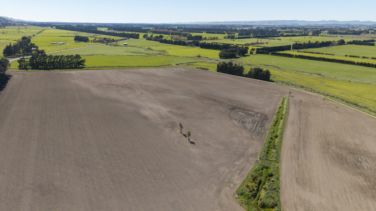 South Wairarapa Dairy Farm with Potential