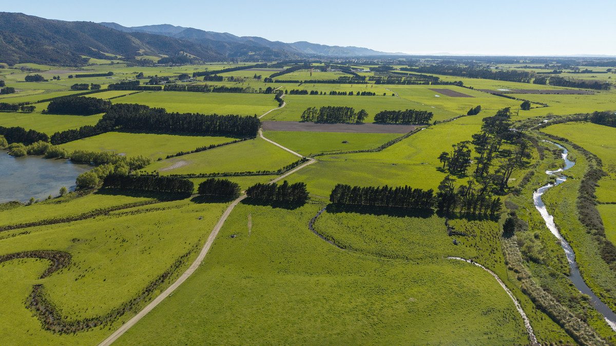 South Wairarapa Dairy Farm with Potential