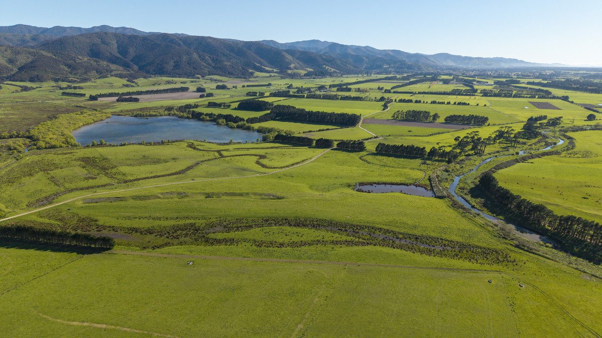 South Wairarapa Dairy Farm with Potential