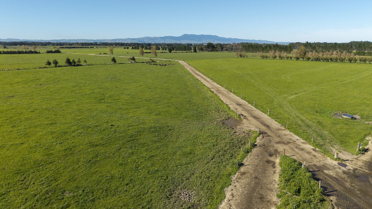 South Wairarapa Dairy Farm with Potential