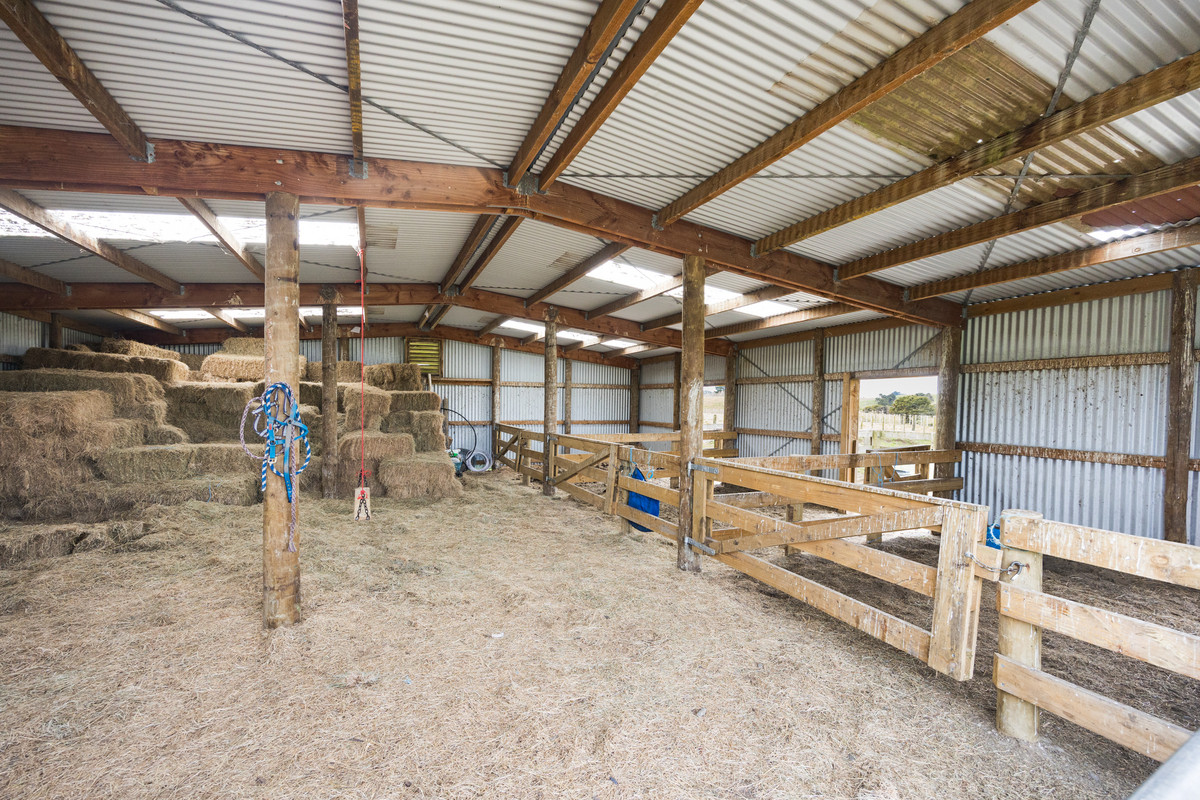 When You Want Something Bigger Than Your Typical Lifestyle - 12ha