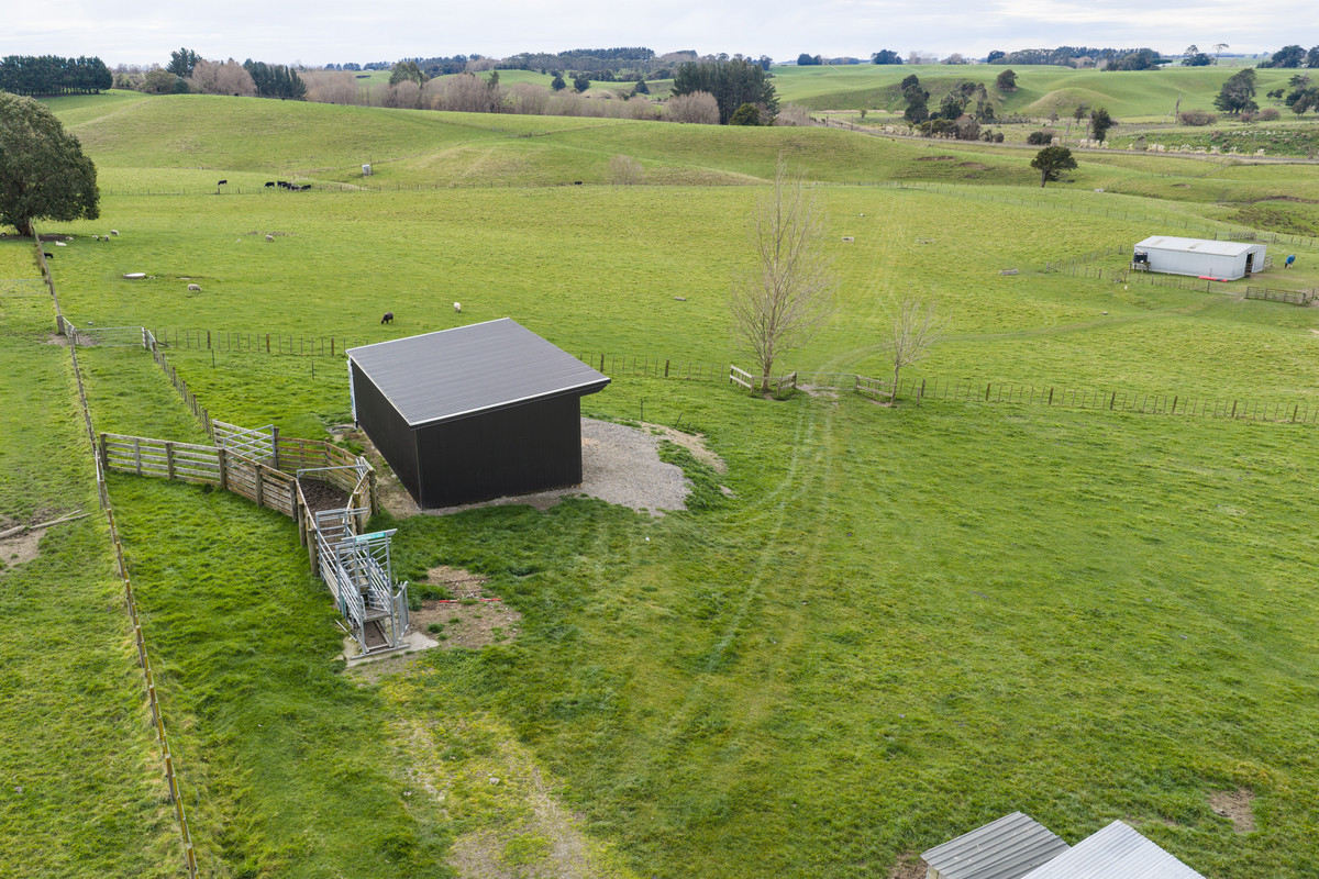 When You Want Something Bigger Than Your Typical Lifestyle - 12ha