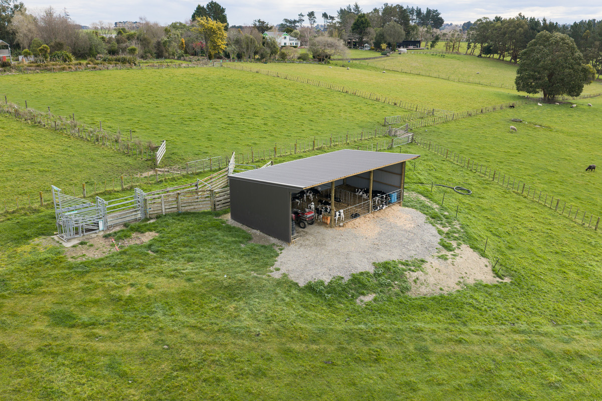 When You Want Something Bigger Than Your Typical Lifestyle - 12ha