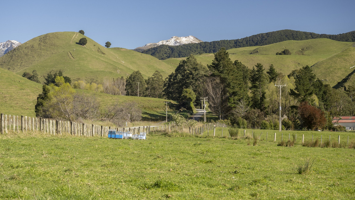 Streamside Lifestyle with Tararua Views