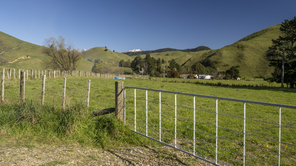 Streamside Lifestyle with Tararua Views