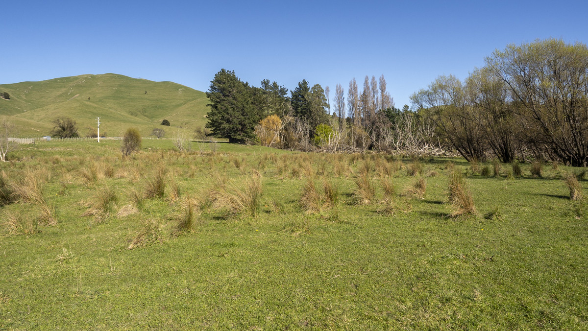 Streamside Lifestyle with Tararua Views