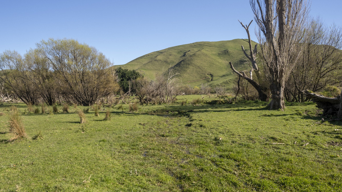 Streamside Lifestyle with Tararua Views