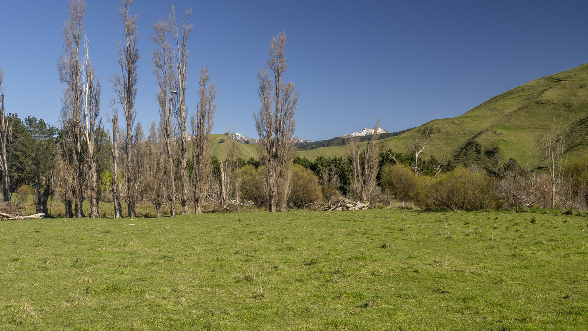 Streamside Lifestyle with Tararua Views