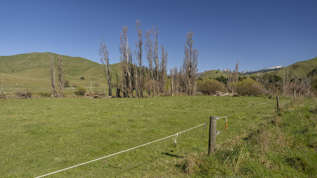 Streamside Lifestyle with Tararua Views