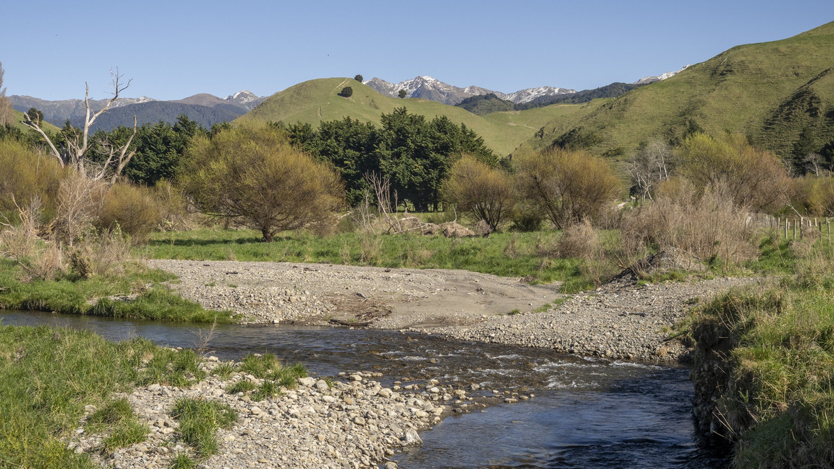 Streamside Lifestyle with Tararua Views