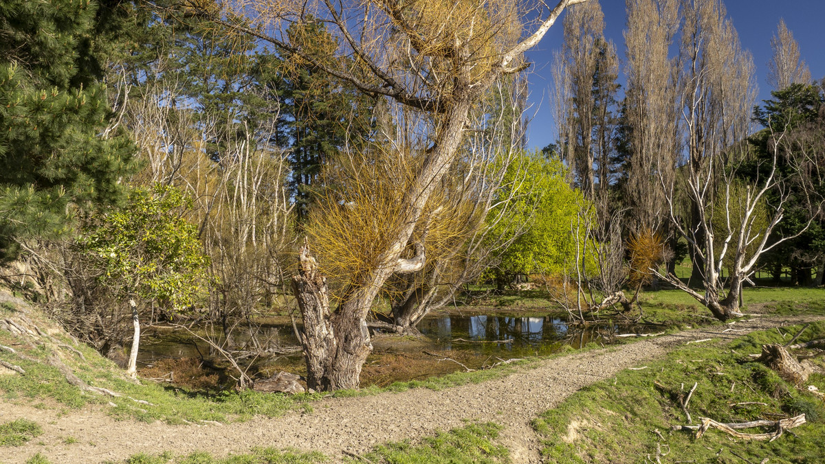 Streamside Lifestyle with Tararua Views