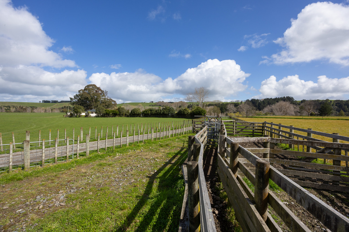 Picturesque With Alluvial Soils - 33.1 hectares