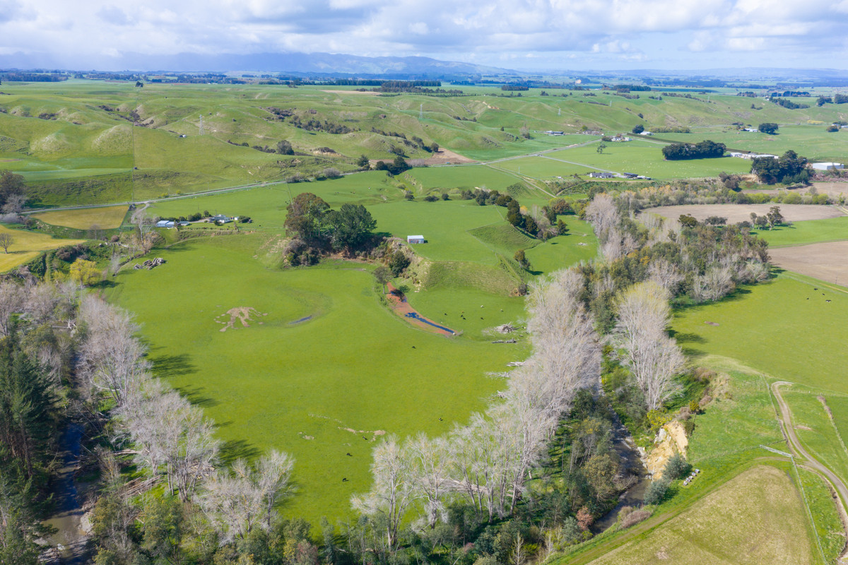 Picturesque With Alluvial Soils - 33.1 hectares