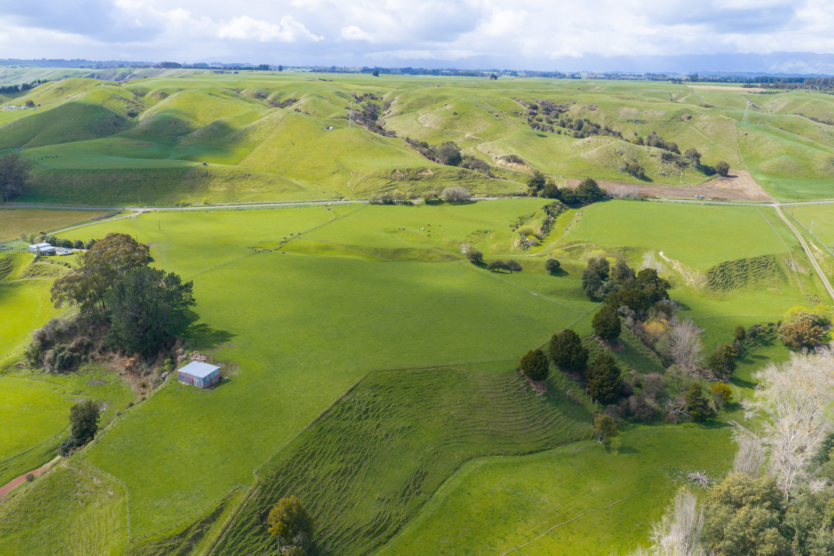 Picturesque With Alluvial Soils - 33.1 hectares