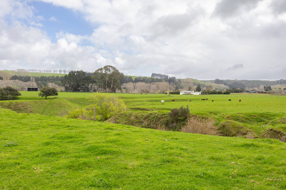 Picturesque With Alluvial Soils - 33.1 hectares