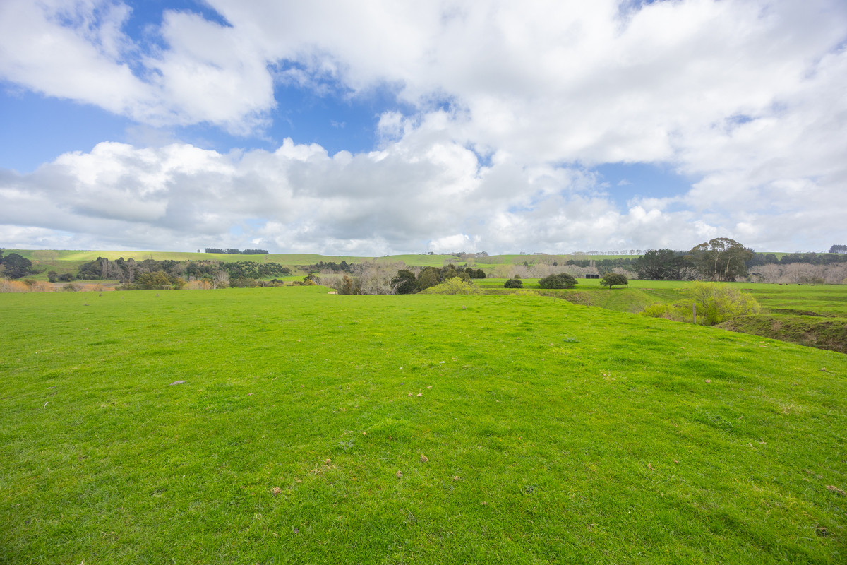 Picturesque With Alluvial Soils - 33.1 hectares
