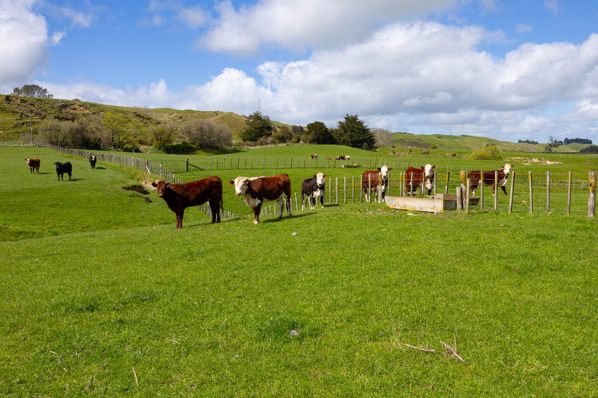 Picturesque With Alluvial Soils - 33.1 hectares