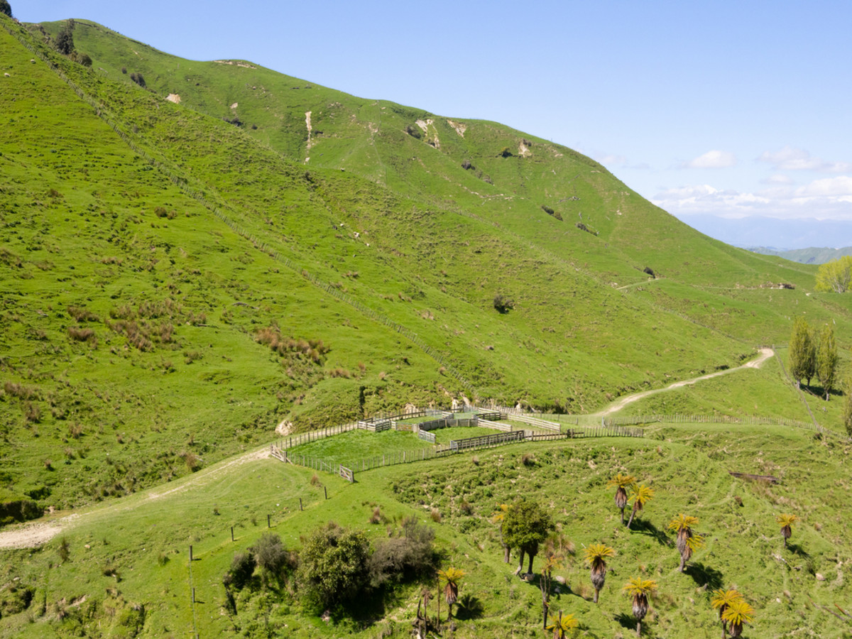 Cairnmuir – Stands Above The Average