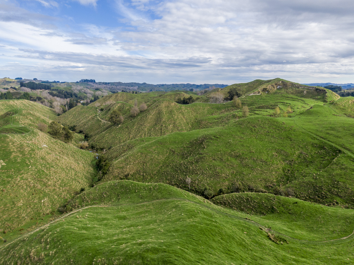 Productive Papa Country - 242.8 Hectares