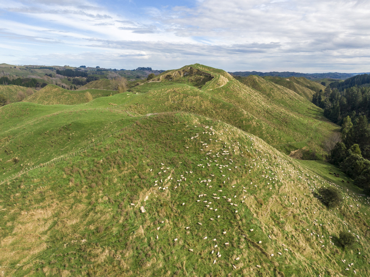 Productive Papa Country - 242.8 Hectares