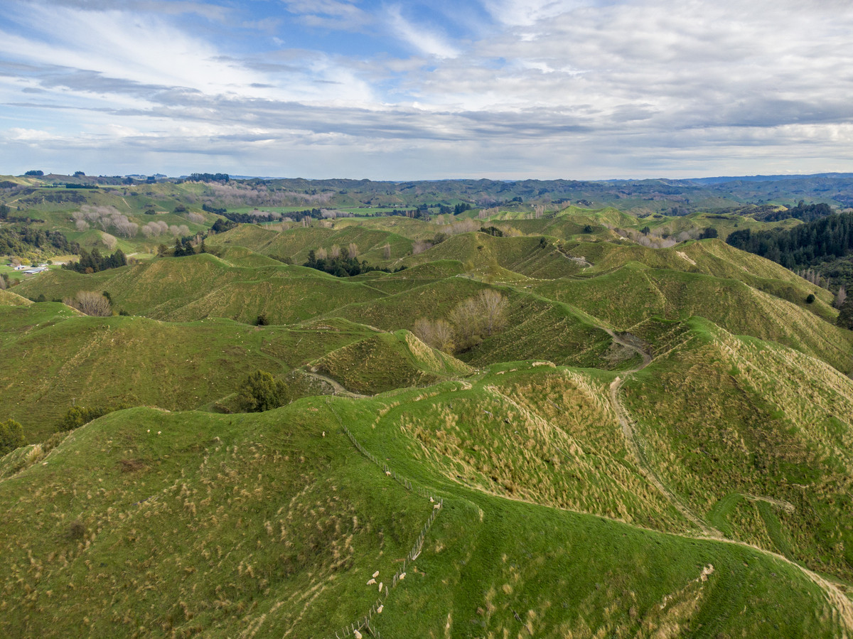 Productive Papa Country - 242.8 Hectares