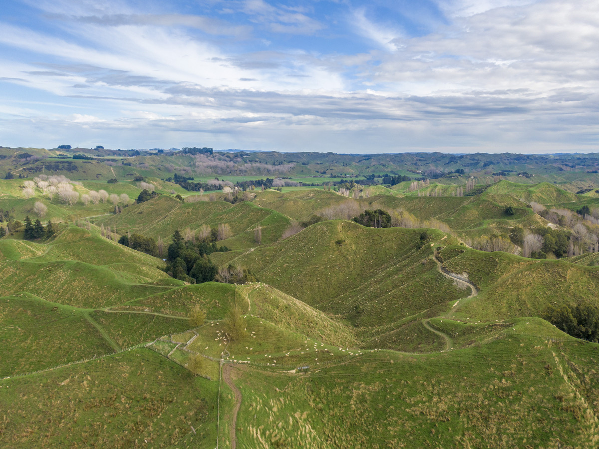 Productive Papa Country - 242.8 Hectares