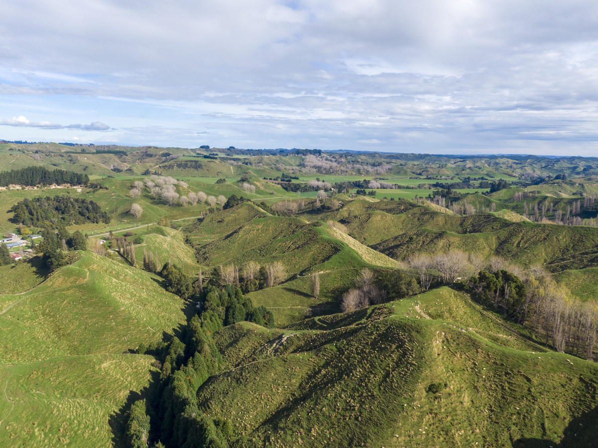 Productive Papa Country - 242.8 Hectares
