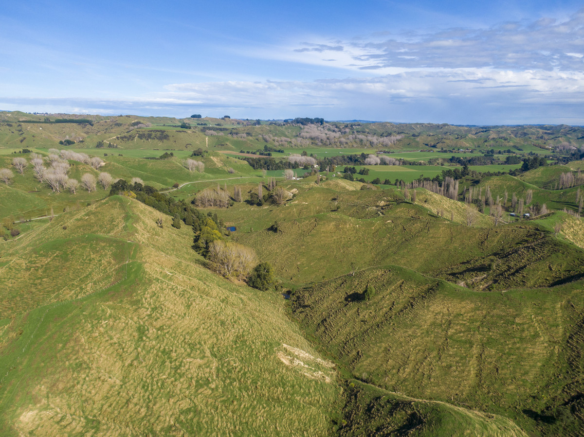 Productive Papa Country - 242.8 Hectares