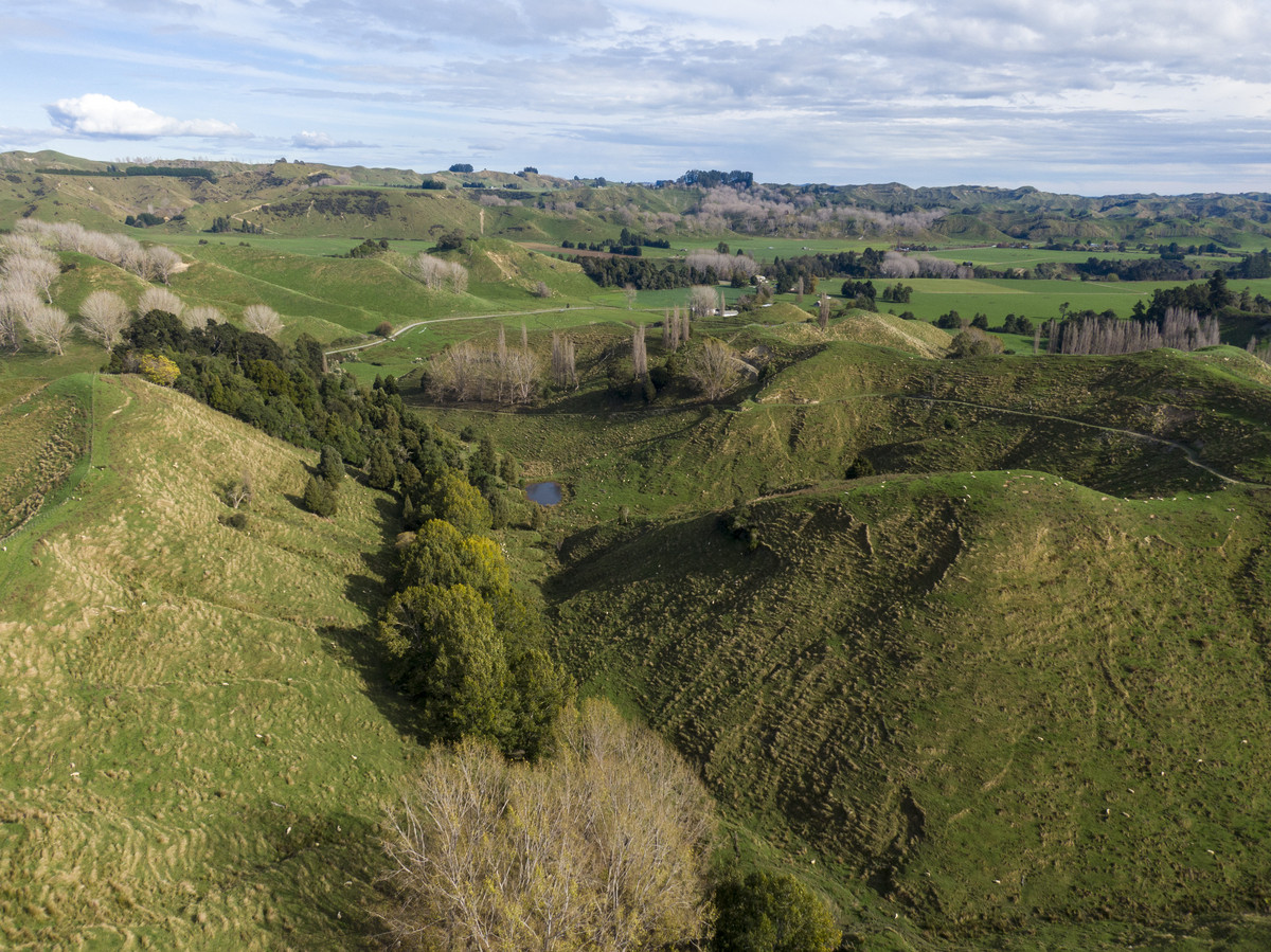 Productive Papa Country - 242.8 Hectares